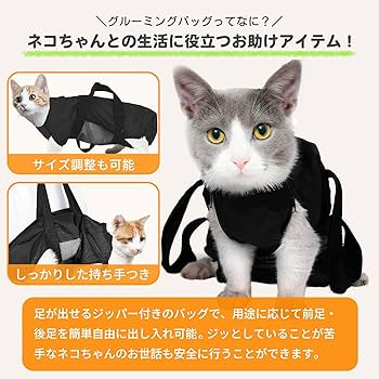 るいたま 検索★新品未使用目立った傷汚無 楽天市場】耐油袋 ルックバッグ No.4S 未晒フライド 100枚